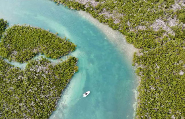 Location de bateau sans permis à Key West - Photo 8