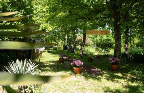 Palmira Apartments - Foto 41