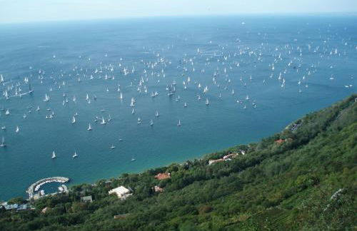 Ai Tre Fichi - Foto 17