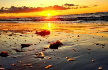 Navona beach - Casa de Praia com Piscina - Photo 25