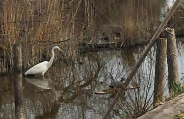 Gite Armieux - Foto 20