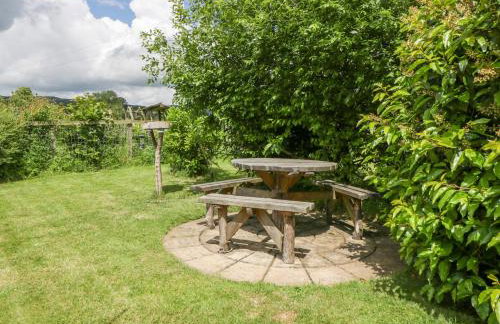 The Turbles - Wagtail - Foto 16