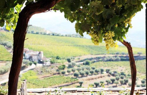 Quinta da Pitarrela - Foto 17