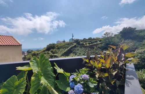 Canada da Ribeira - Photo 8