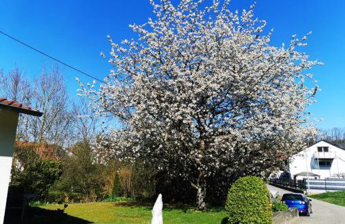 Ferienwohnung Im Auricher Tal - Foto 13