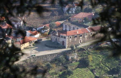 D. Maria São Pedro de Balsemão - Photo 23