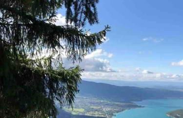 Appartement Duplex vue lac et montagne à Talloires - Foto 47