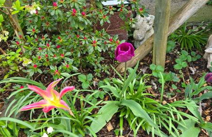 Ferienwohnung Olivenblick Bad Honnef - Foto 49