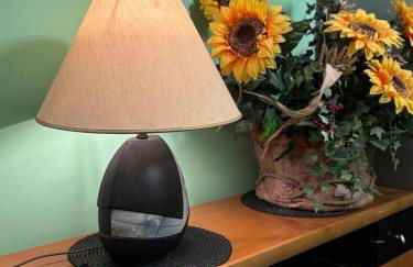 Demetra House - Foto 18