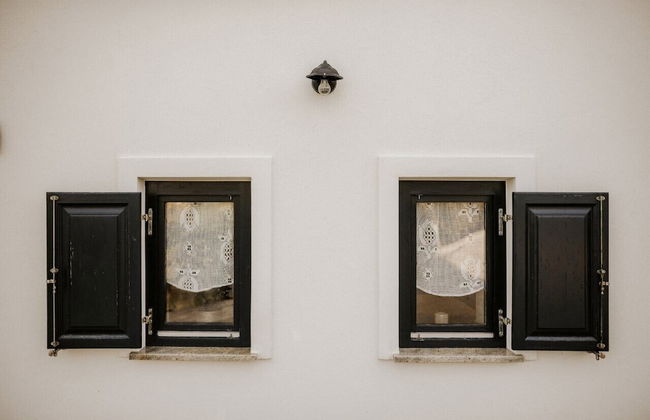 Vineyard cottage Zdolšek - Foto 21