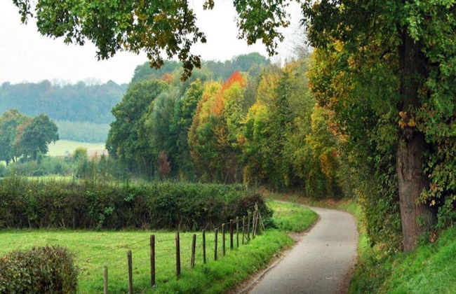 Cottage in Leenderbos Near Nature Reserve - Photo 23