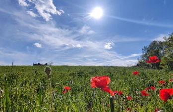 Ca l'Esmolet - Foto 22