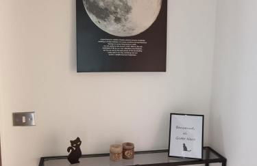 Ilgattonero - Foto 33