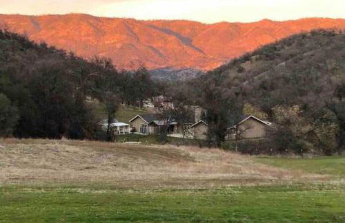 Waxberry Getaway Sequoia/Kings Canyon National Pks - Foto 61