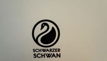 Schwarzer Schwan - Foto 2