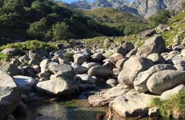 Abejas 1 de El Vergel de Chilla - Foto 74