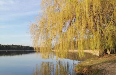 Bungalow am Ferchesarer See - Foto 19