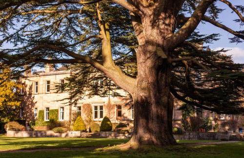 Errol Park - Grand Stately Home & Views - Photo 75