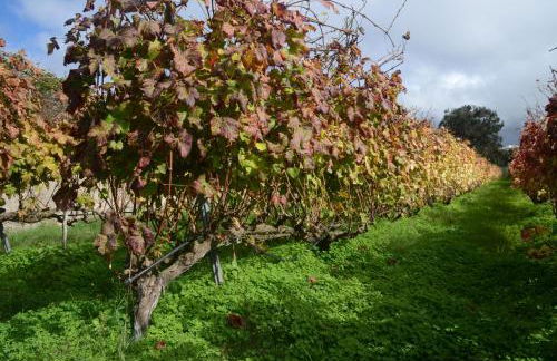Casa Rural El Adelantado - Foto 34
