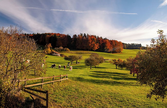 Cinéma Enchanté - cinéma & bain nordique - Foto 22