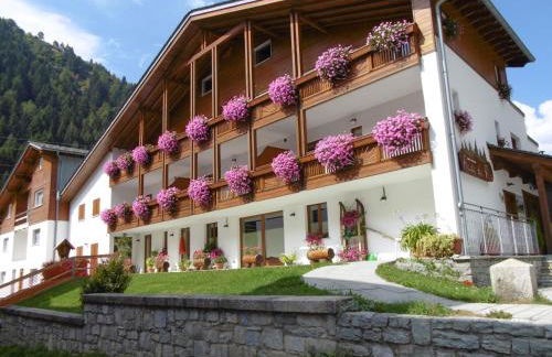 Baita dei Pini - Photo 16