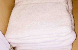 Witte Wonderland - Separate Garage Apartment!! - Foto 51