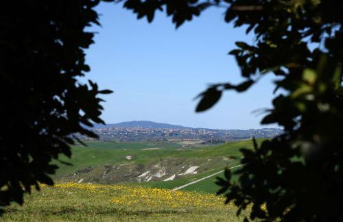 Podere il Granaio - Crete Senesi - Tuscany - Foto 44