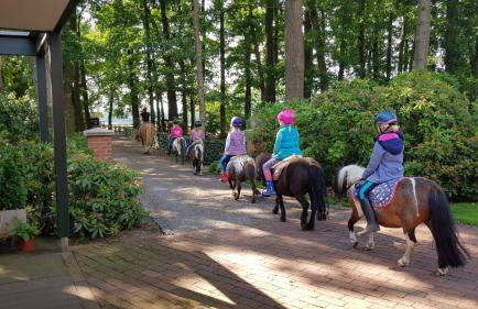 Große Ferienwohnung, auf Bauernhof mit Ponys und Pferden, ländlich und ruhig, Nähe Dümmer See - Photo 23