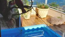 Cantinho do paraíso da Deuza - Foto 2