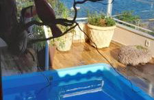 Cantinho do paraíso da Deuza - Foto 2