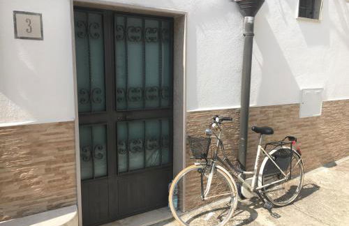 Patanella Wine - Foto 20