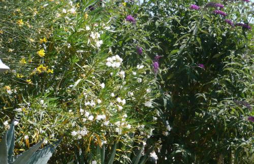 Agriturismo Annibale - Foto 56