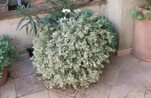 Casa Benoi - Photo 3