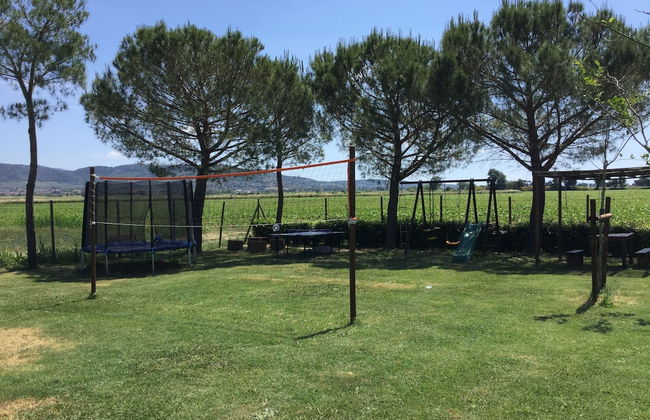 Agriturismo Terra di Cortona - Foto 35