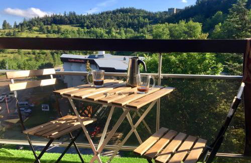 Studio pied des pistes - Foto 15