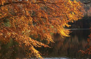 Chalet 10 pers sauna & SPA La tanière des Vosges - Foto 50