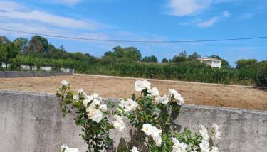 Aktaion apartments - Foto 4