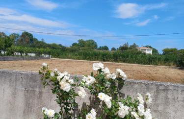 Aktaion apartments - Foto 4