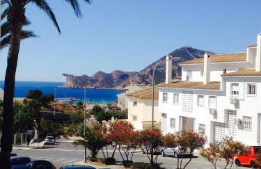 Bertoliva - Photo 20