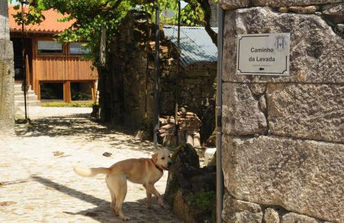 Casinhas da Levada - Foto 34