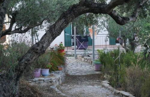 Haus mit Pool im Olivenhain - Foto 9