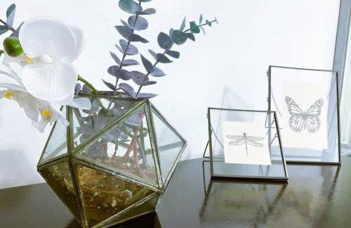 (53.1S) Forest Park, The Zoo, and much more - Foto 19