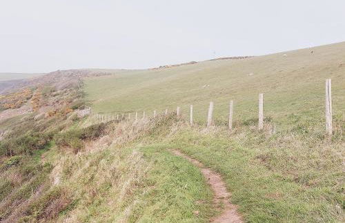 Trewebster - Photo 39