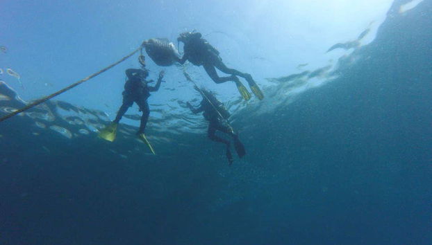 Nuotando nelle acque di Almuñécar