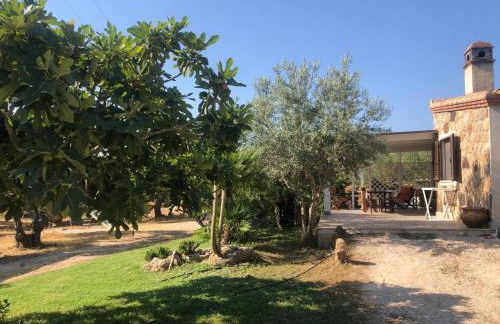 NicChia Turchese - Foto 18