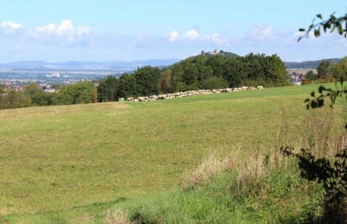 Large Detached Holiday Home in Hesse With Private Garden and Terrace - Foto 61