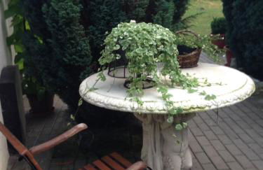 Ferienhäusl am Malerweg - Foto 38