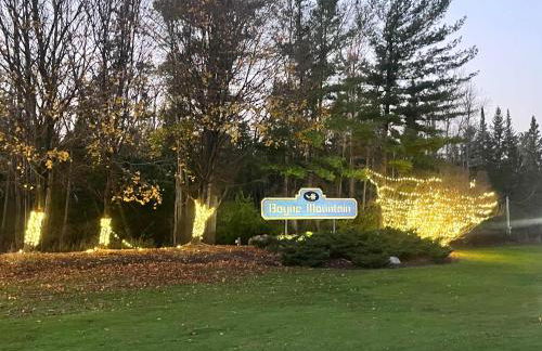 1 Mile From Boyne Mt- Chateau Patak - Foto 35