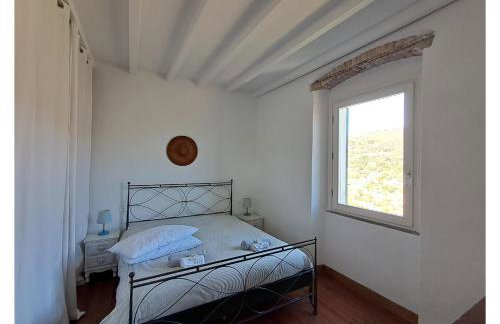 Les Oliviers - Photo 8