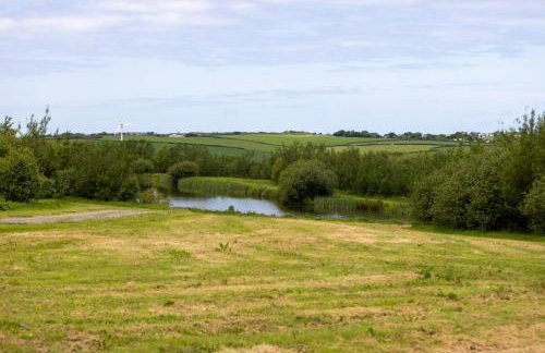 The Pig Arc - Foto 16